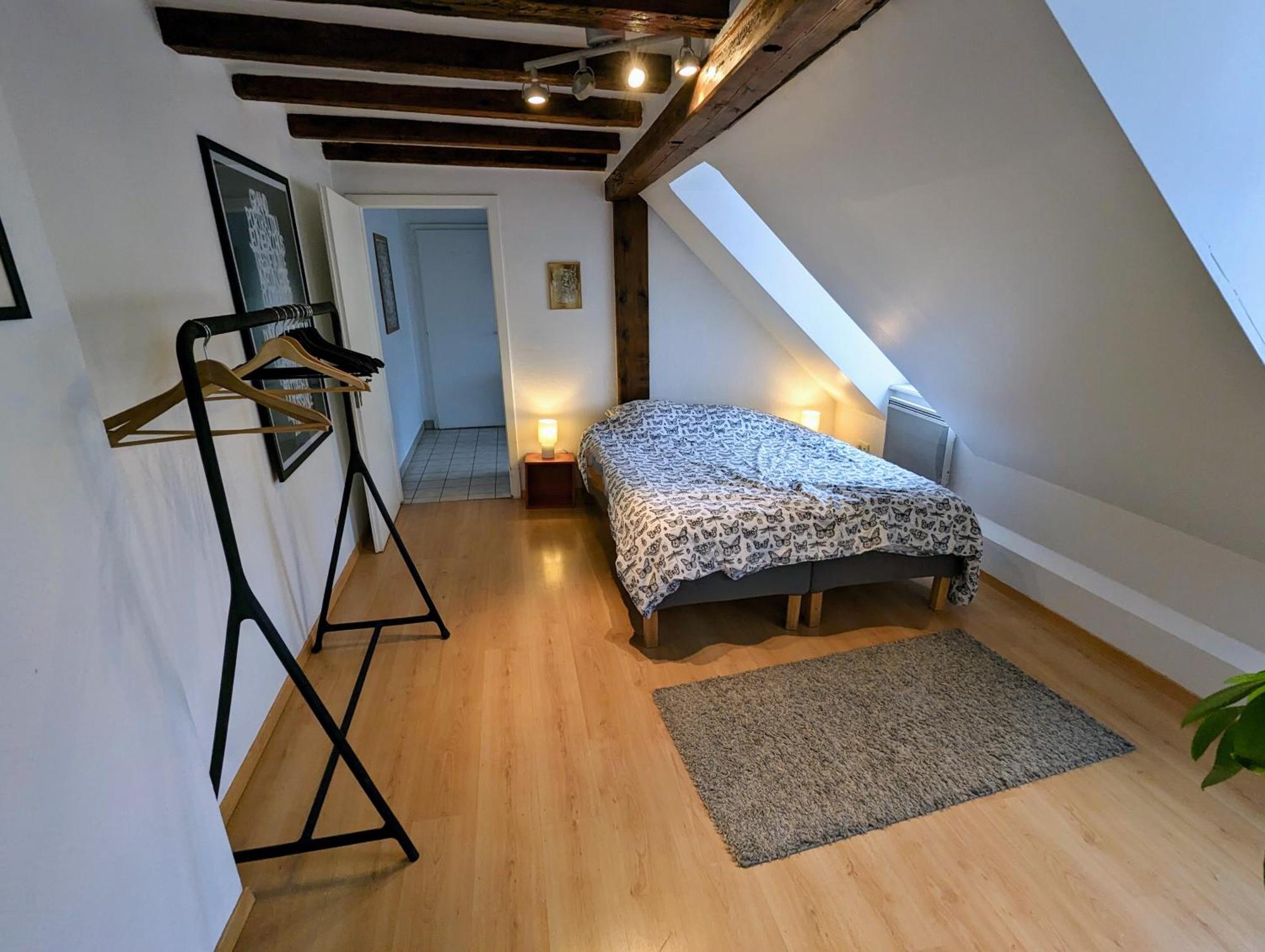 Appartement Des Serruriers Strasbourg Kültér fotó
