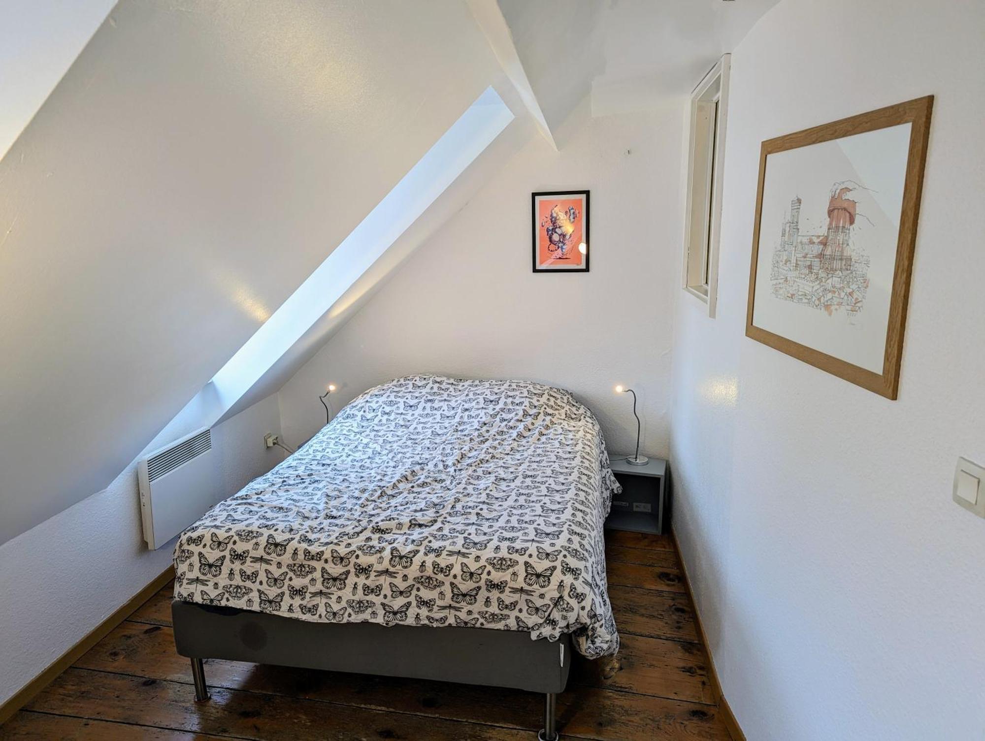 Appartement Des Serruriers Strasbourg Kültér fotó