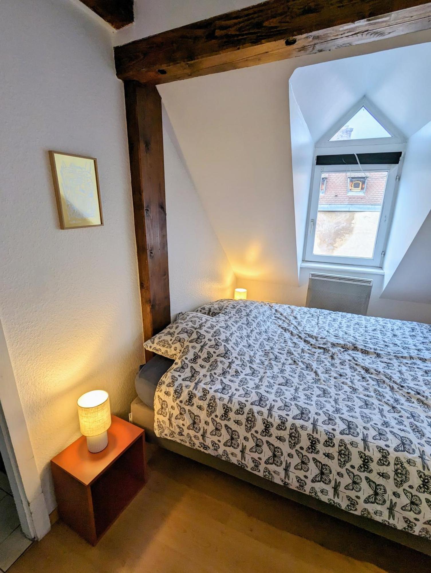 Appartement Des Serruriers Strasbourg Kültér fotó