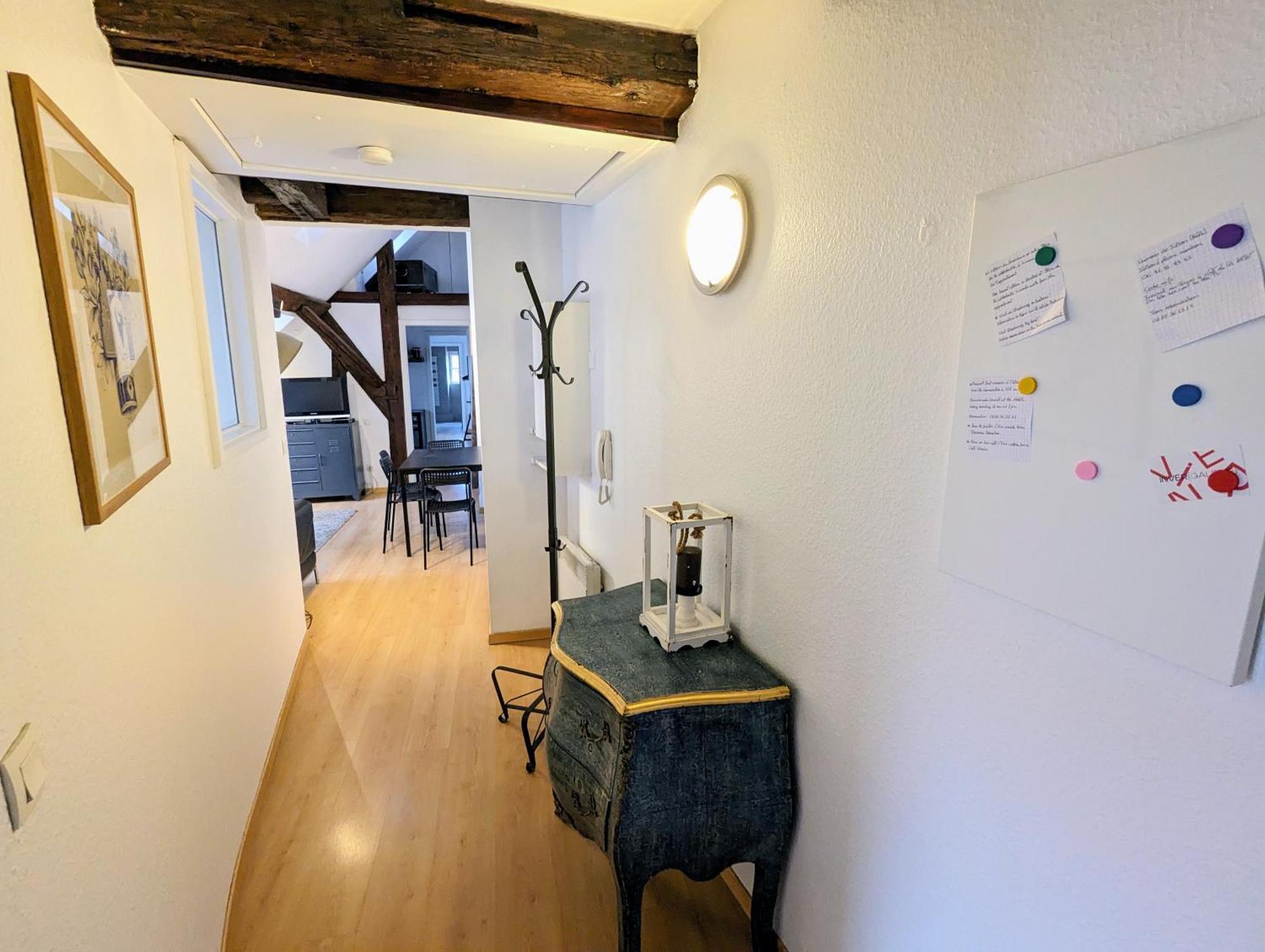 Appartement Des Serruriers Strasbourg Kültér fotó