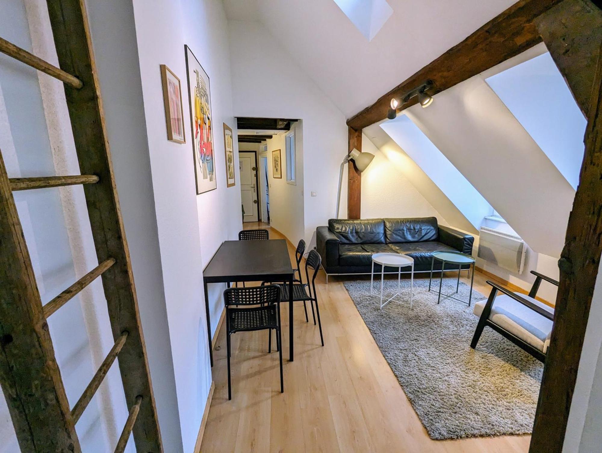 Appartement Des Serruriers Strasbourg Kültér fotó