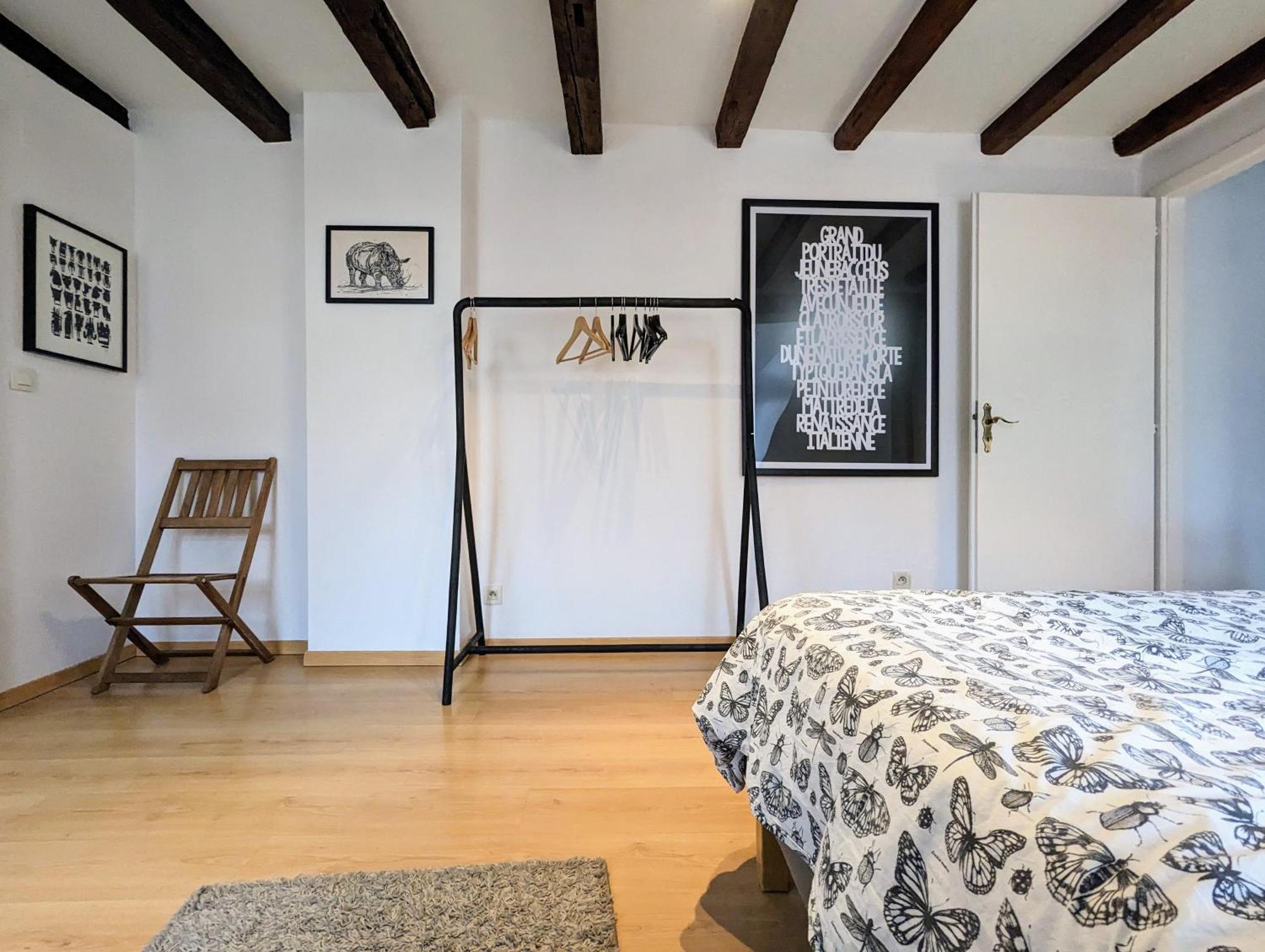 Appartement Des Serruriers Strasbourg Kültér fotó