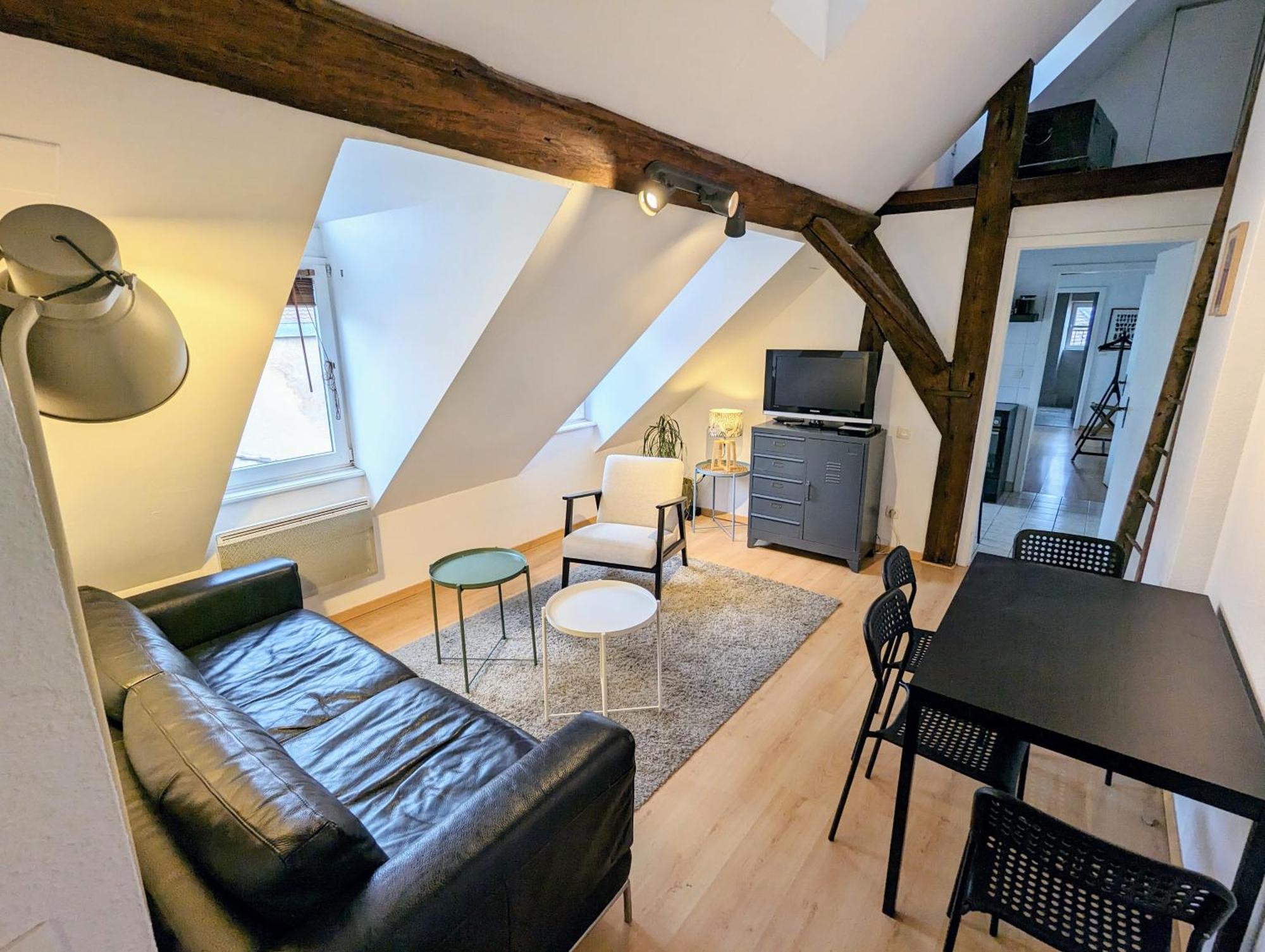 Appartement Des Serruriers Strasbourg Kültér fotó